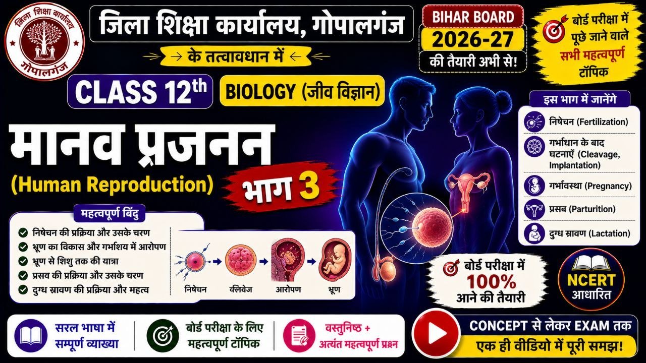 HUMAN REPRODUCTION CLASS 12TH BIOLOGY PART 3